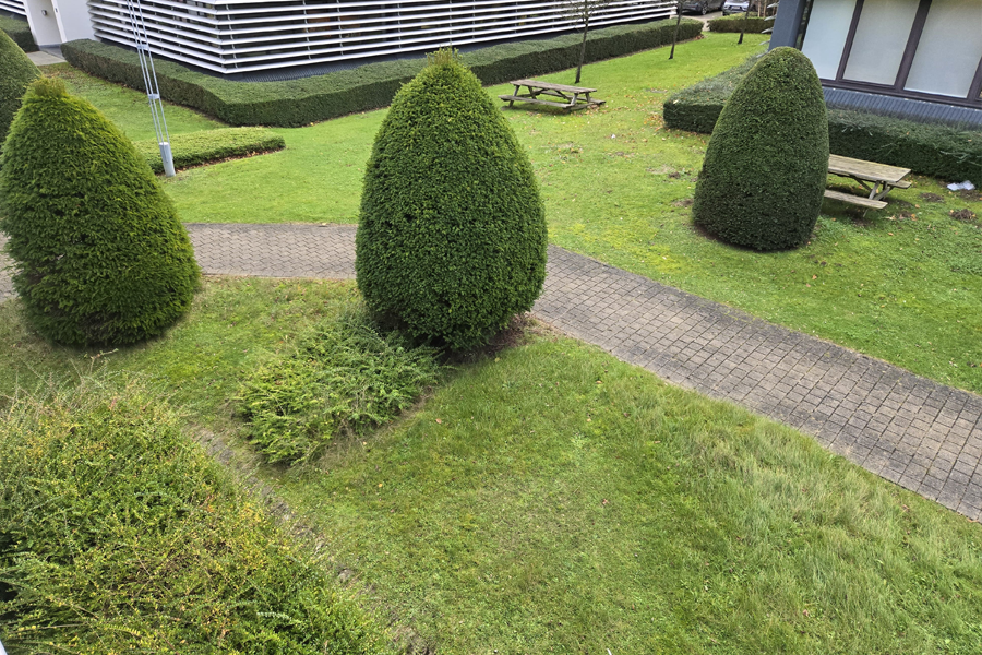 Campus Garden