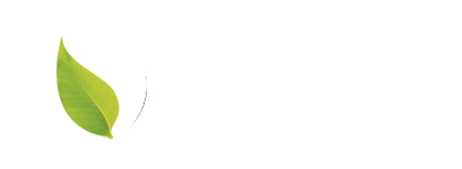 Tech Partner